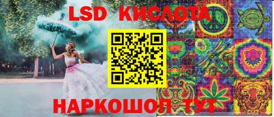бошки Новодвинск