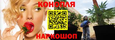 бошки Новодвинск