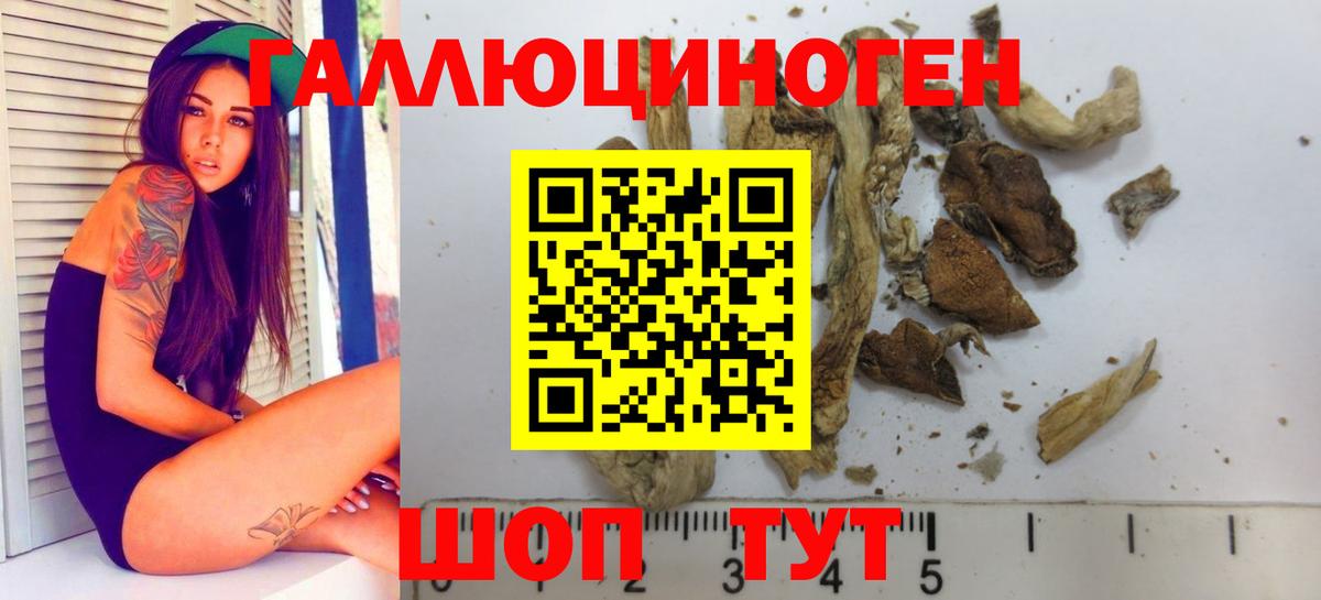 Хасавюрт  Галлюциногенные грибы Magic Shrooms  Вход с VPN 
