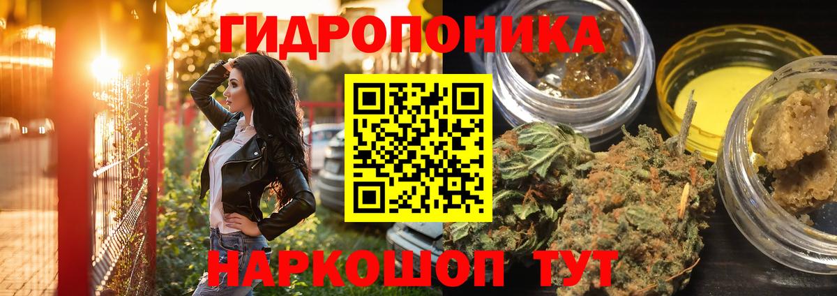 Бошки марихуана гибрид  МАРИХУАНА Amnesia  Бошки Шишки OG Kush  Хасавюрт  Вход с VPN 